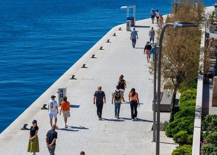 Banjo Polo Split