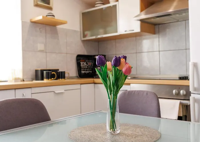 Apartmán Banjo Polo